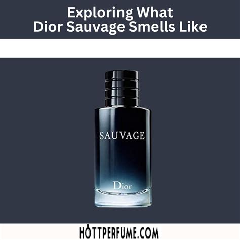 dior sauvage information|Dior Sauvage smell like.